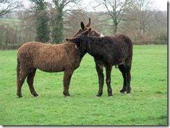 chelmi.canalblog.com_bisous_t-Bisous