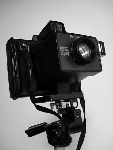 Polaroid, remède anti-crise