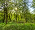 vidéo 1 an en 40 secondes