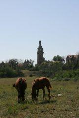 Photo carnets 2008 2009 087web.jpg