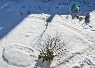 La Chaux-de-Fonds neige janvier 2009