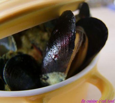 Moules_curry_02