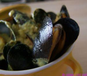 Moules_curry_01