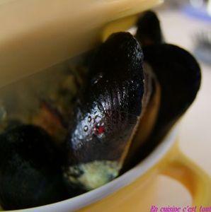Moules_curry_03