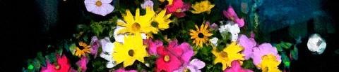 bouquet-ombres-nappe-rouge-prose