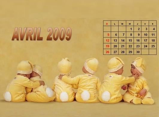 Le calendrier 2009 des bébés