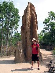 australie_termites2