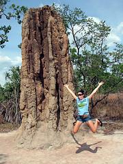 australie_termites