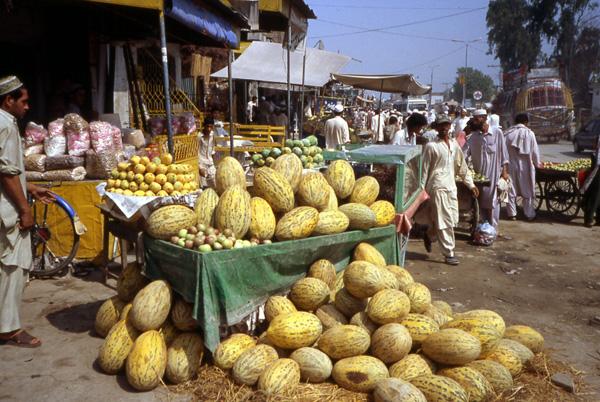 pakistan-vendeur-melon.1231924284.jpg
