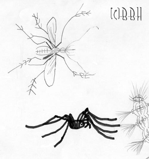 dessin d'insectes enfant 6 ans