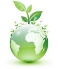 generique - GreenEnergy - terre + plante
