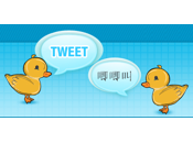 Twitrans, votre traducteur personnel twitter