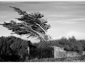 printemps arrive……