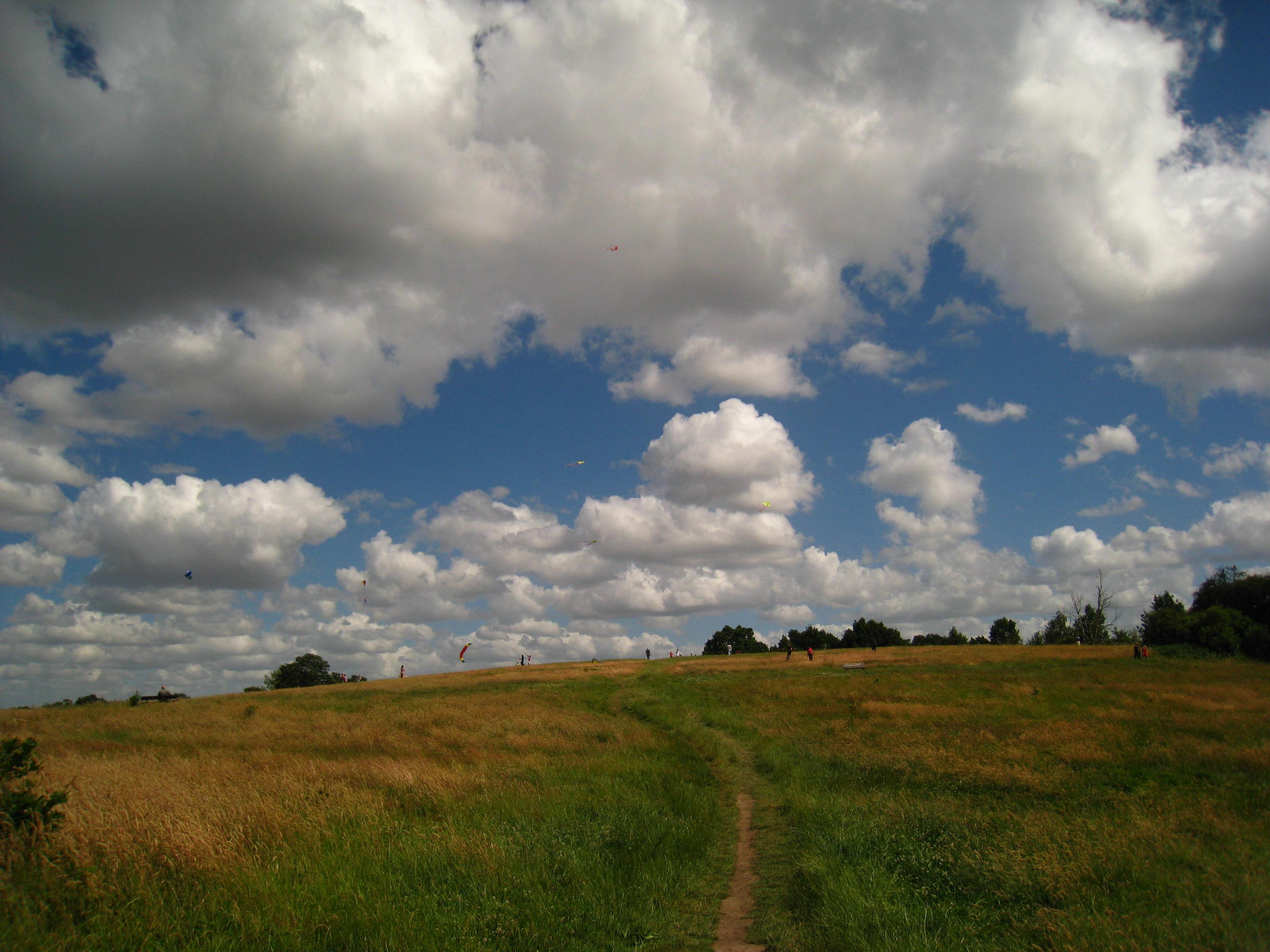 Hampstead Heath