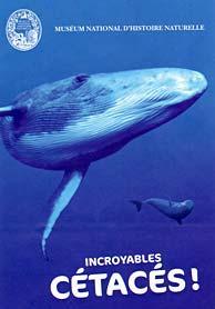 Emporium le 13 février incroyables-cetaces.1231589592.jpg