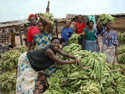 07 Marché  Gouro (banane)