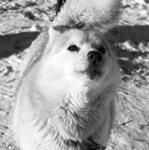 Innover...dit-elle...