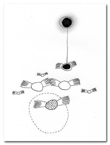 Ecritures Automatiques .0003 + 0004 + 0005