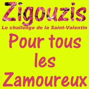Jusqu'au 14/02/09 pour participer au « challenge des zamoureux »...