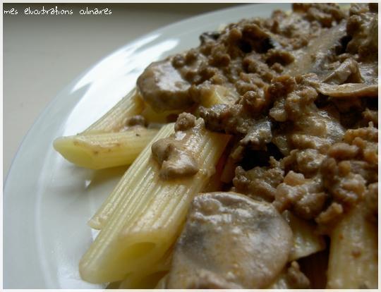 Penne Stroganov