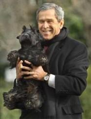 Quel chien pour Barack Obama ?