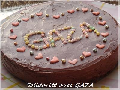 Chaîne de solidarité pour la Palestine (Gaza)