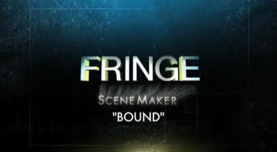 1x11-scenemaker
