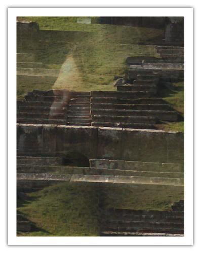 Résolutions pour l'an 9