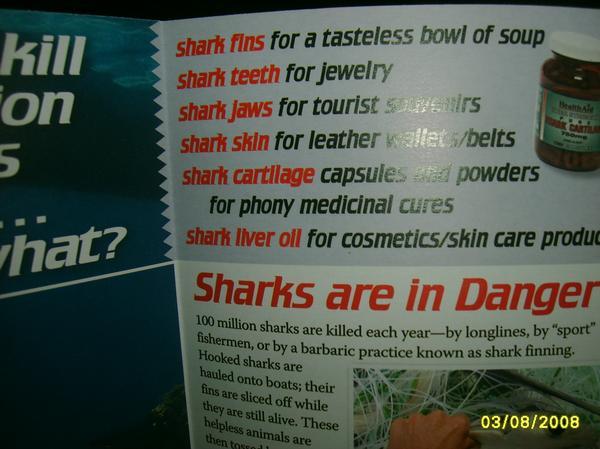 shark-leather-brochure