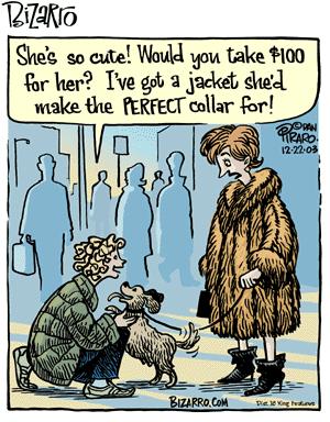 bizarro-dog-collar