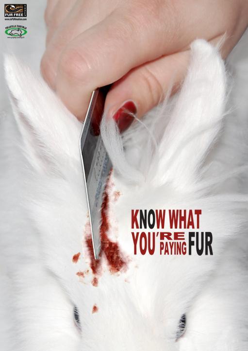 paying-fur-poster