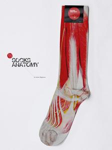 Sock's anatomy