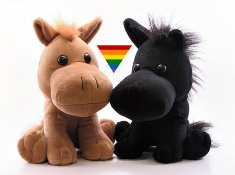 homosexualite-animaux-nature-1-480x358 societe