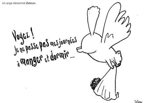 MissBrownie Zetoun.JPG