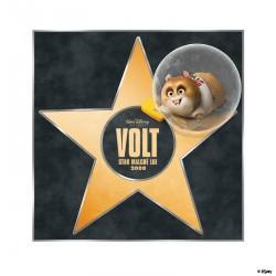 etoile-hollywood-volt-disney etoile-hollywood-volt-disney