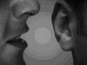 réputation professionnels cheval circule vitesse lumière