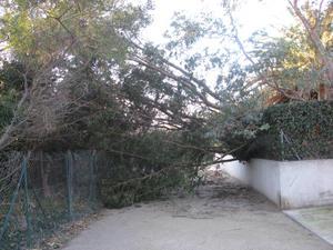 Alerte rouge sur Les Pyrénées Orientales