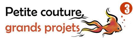 Petite couture, grands projets
