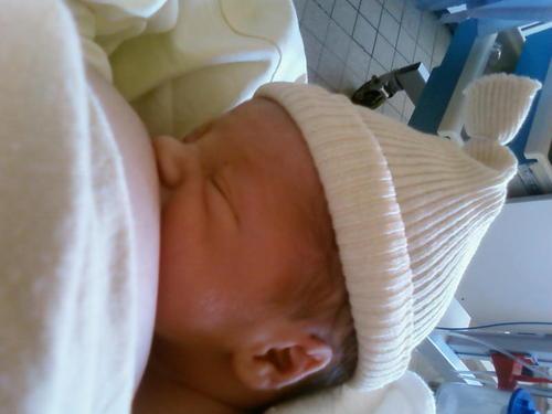 La fin de l'allaitement