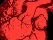 Vers coeur capable réparer lui-même