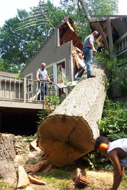 Un arbre écrase une maison