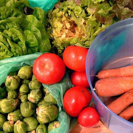 Où l'on reparle de la //media.paperblog.fr/i/152/1528291/lon-reparle-paleo-diet-seignalet-manger-cru-L-1.jpeg