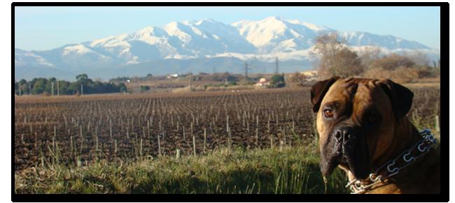 Bilan d'un mois mouvementé...