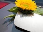 crustacés l'origine d'une nouvelle génération biocarburants