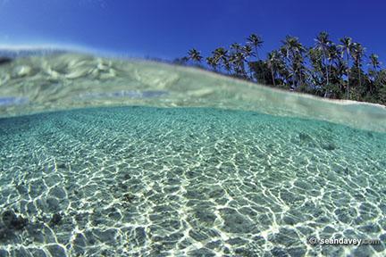 split level view of the clear water of Ha'atafu Beach, Tonga, 20