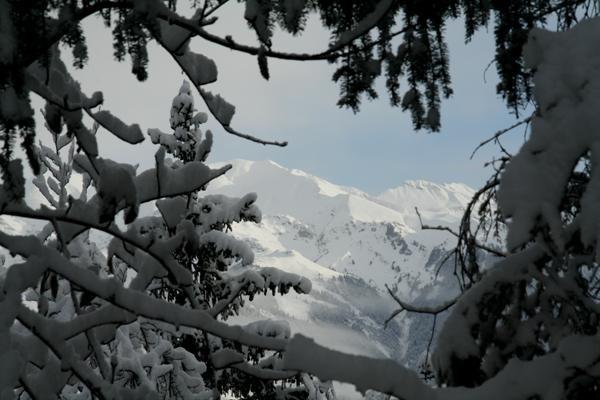 Un jour d'hiver à la montagne