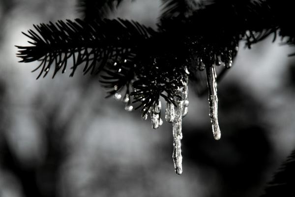 Un jour d'hiver à la montagne