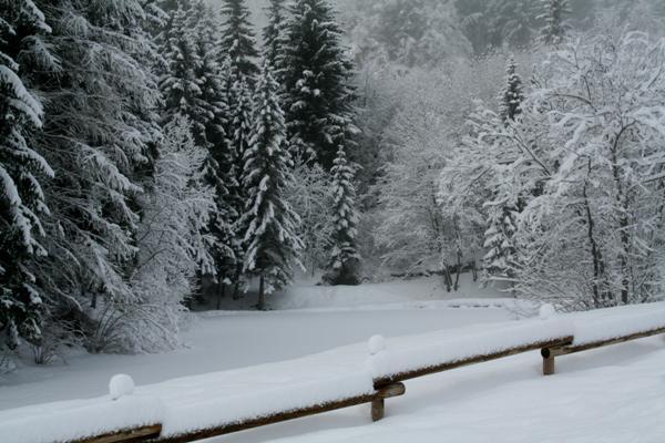 Un jour d'hiver à la montagne