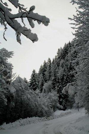 Un jour d'hiver à la montagne