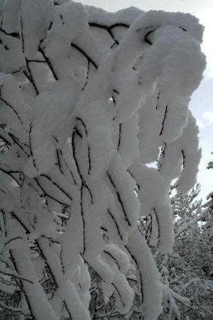 Un jour d'hiver à la montagne